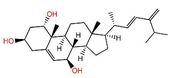 Sinugrandisterol B